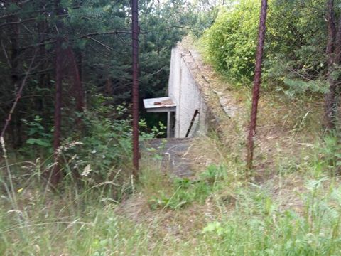 Foto 48